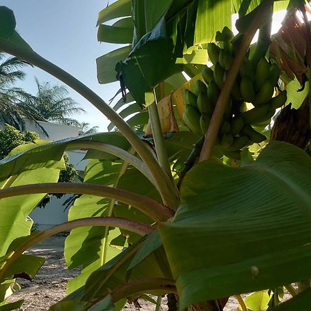 Case traditionnelle diola au bord de l'océan Cabo Skirring Exterior foto