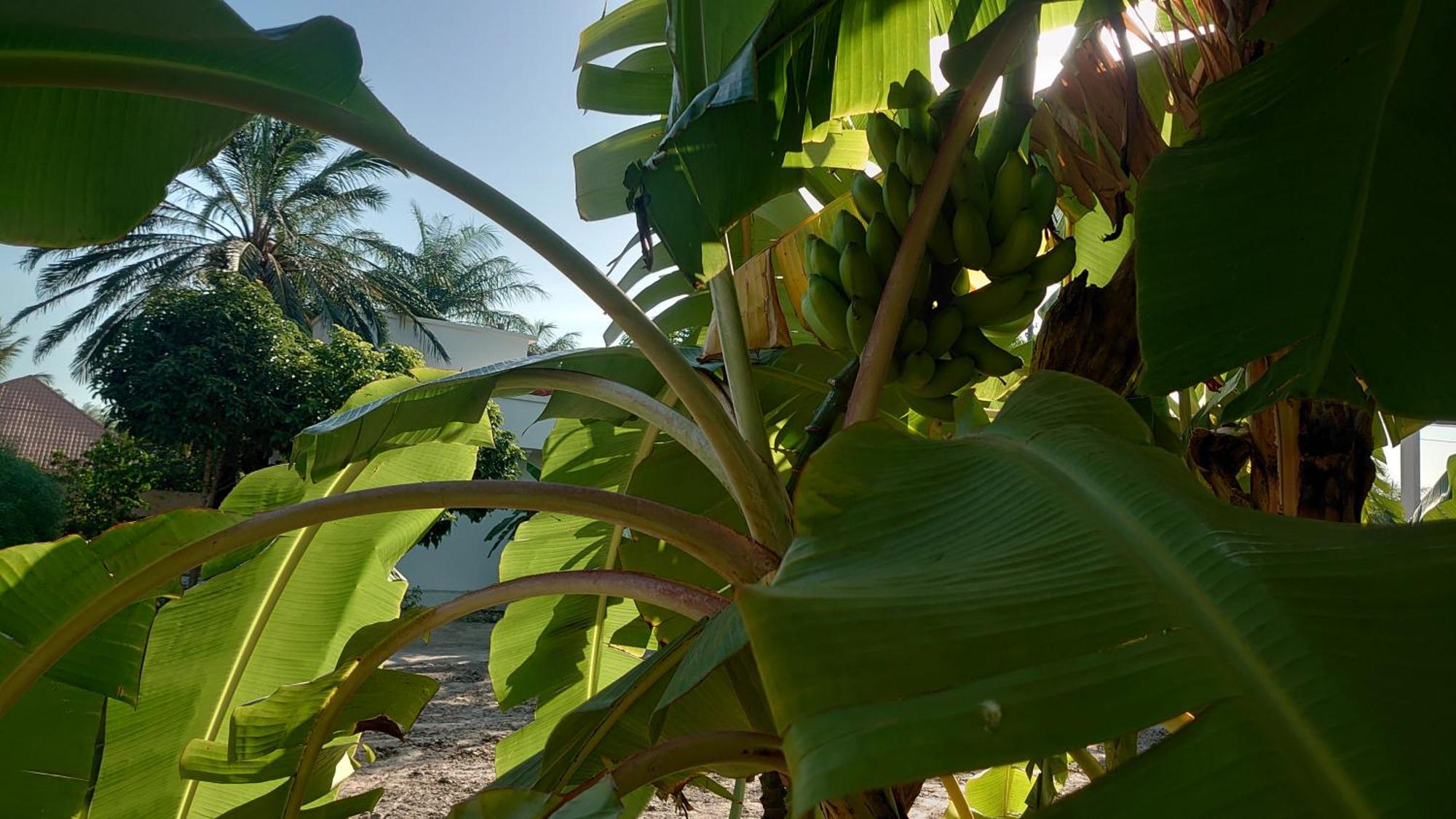 Case traditionnelle diola au bord de l'océan Cabo Skirring Exterior foto