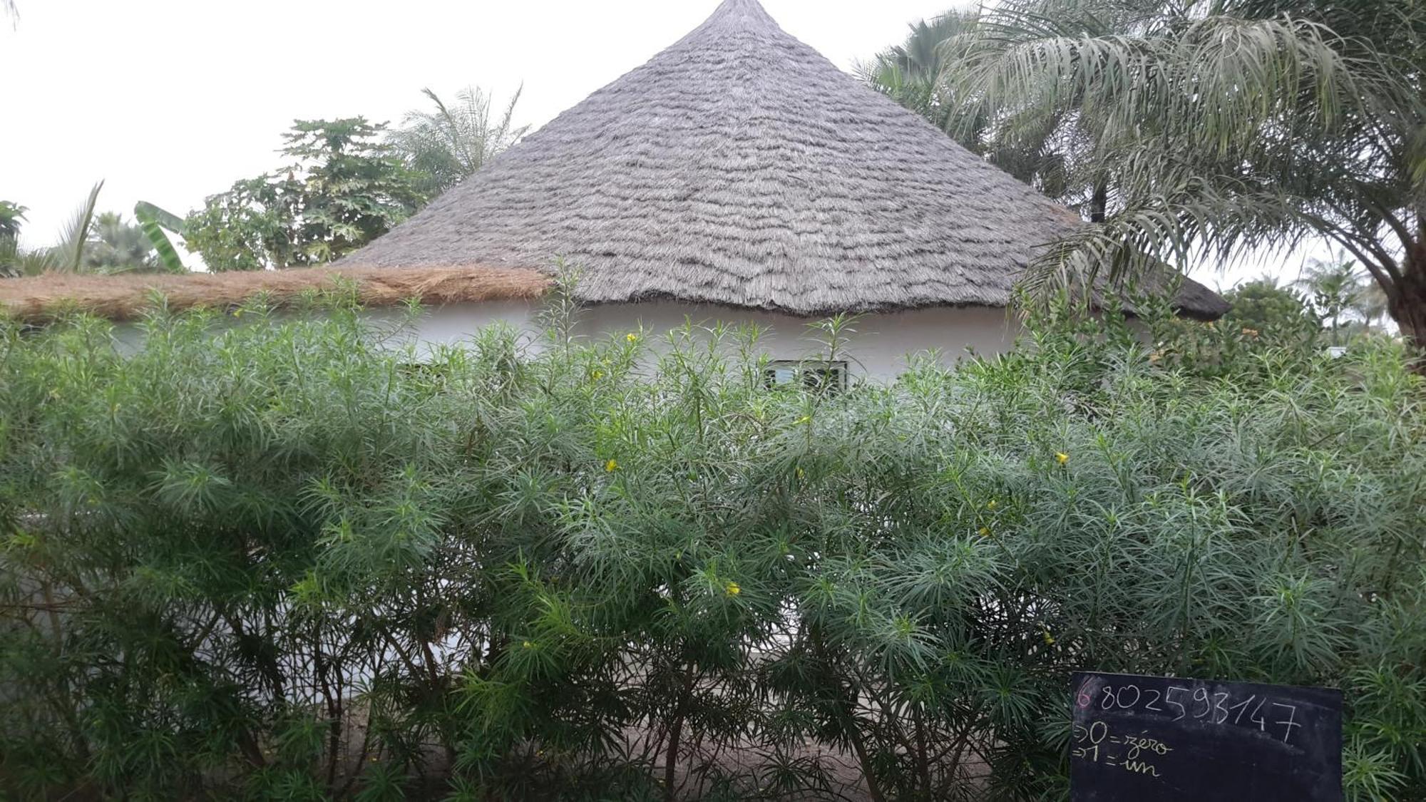 Case traditionnelle diola au bord de l'océan Cabo Skirring Exterior foto